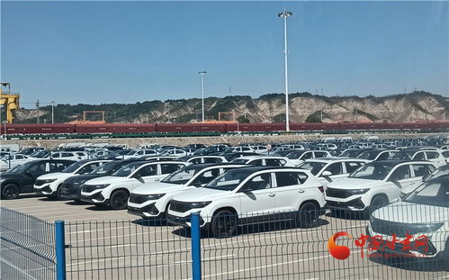 做強(qiáng)蘭州樞紐品牌，構(gòu)建高質(zhì)量發(fā)展快速引擎——房屋租賃助力城市新升級